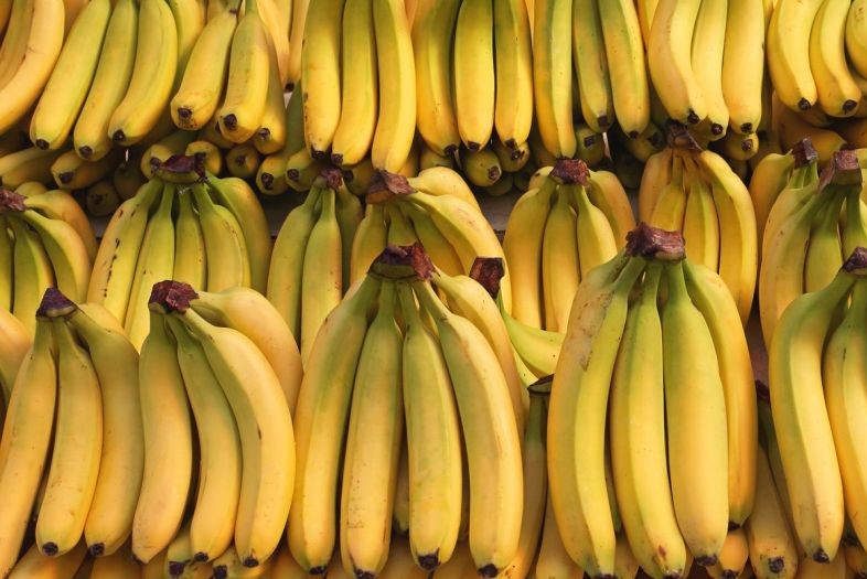 आज केराको मूल्य प्रतिदर्जन २५० रुपैयाँ