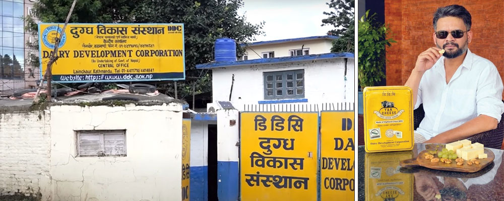 सरकारी चिज उत्पादनलाई प्रधानमन्त्री बालेनको प्रचारले कति फाइदा?