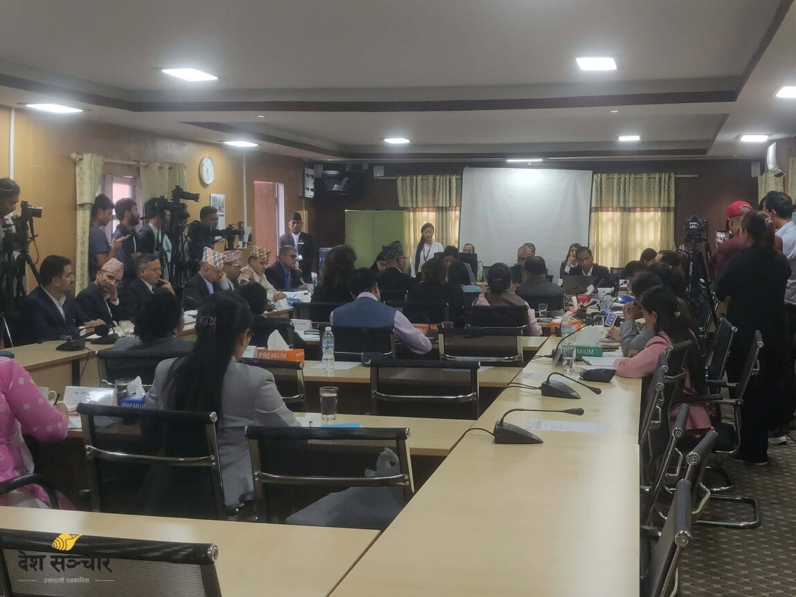 सोधपुछका लागि बोलाइएका अन्तर्राष्ट्रिय मानवअधिकार संस्थाका प्रतिनिधि समितिमा उपस्थित भएनन्